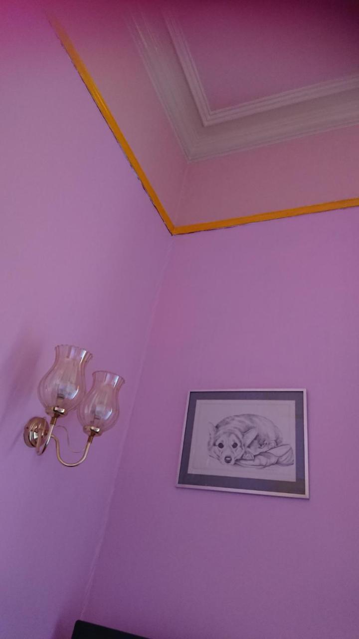 Swan Lake Guest House เอดินบะระ ภายนอก รูปภาพ
